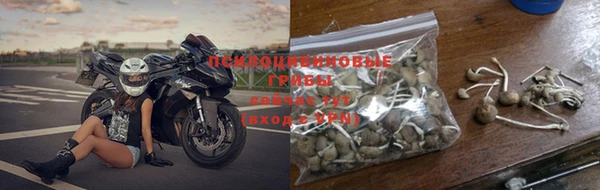 дмт Нефтекумск