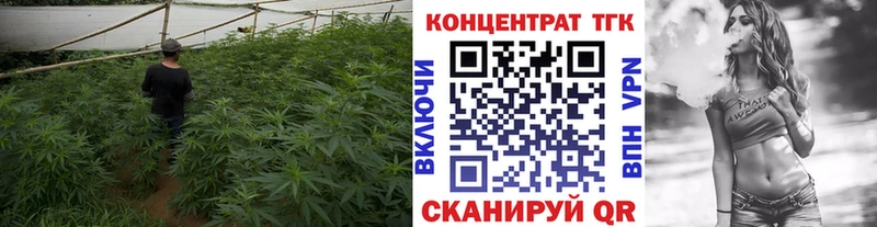 Дистиллят ТГК Wax сколько стоит Питкяранта